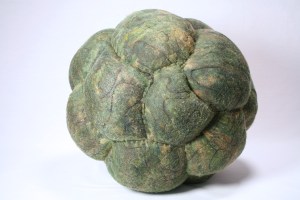 Diatom, 2014, 16" diameter, wool, beeswax, thread, recycled fill; hand felted, stitched, encaustic.